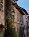 noa_mendel_ Altpins Profile Picture