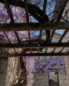 noa_mendel_ Altpins Profile Picture