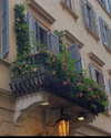 noa_mendel_ Altpins Profile Picture