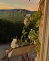 noa_mendel_ Altpins Profile Picture