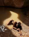 noa_mendel_ Altpins Profile Picture