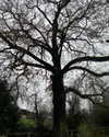 noa_mendel_ Altpins Profile Picture