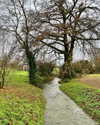 noa_mendel_ Altpins Profile Picture