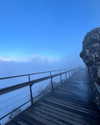 noa_mendel_ Altpins Profile Picture