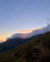 noa_mendel_ Altpins Profile Picture