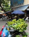 noa_mendel_ Altpins Profile Picture