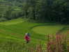 noa_mendel_ Altpins Profile Picture