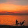 noa_mendel_ Altpins Profile Picture