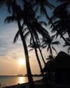 noa_mendel_ Altpins Profile Picture
