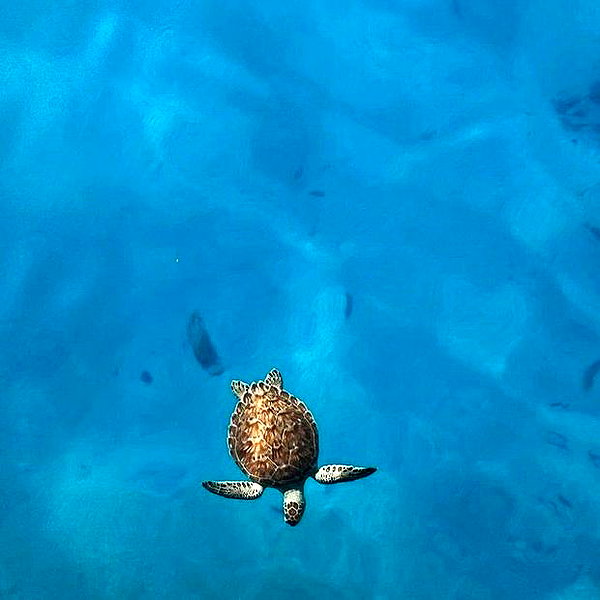 noa_mendel_ instagram image archive image