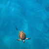 noa_mendel_ Altpins Profile Picture