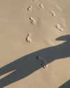 noa_mendel_ Altpins Profile Picture