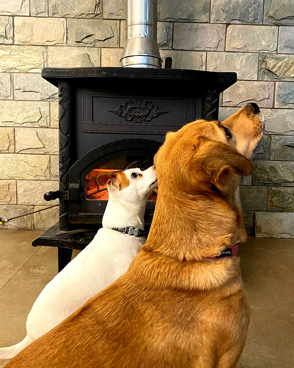 noabrrnd instagram image archive image