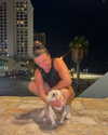 noam_alon1 Altpins Profile Picture