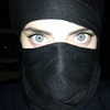 noam_shaham Altpins Profile Picture