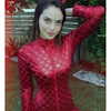 noam_shaham Altpins Profile Picture