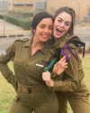 noam_shaham Altpins Profile Picture