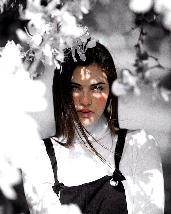 noam_shaham instagram image archive image