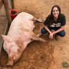 noam_shaham Altpins Profile Picture