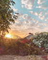 noam_shaham Altpins Profile Picture