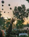 noam_shaham Altpins Profile Picture