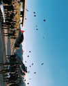 noam_shaham Altpins Profile Picture