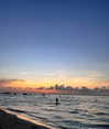 noam_shaham Altpins Profile Picture