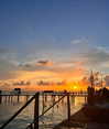 noam_shaham Altpins Profile Picture