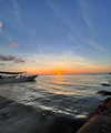 noam_shaham Altpins Profile Picture