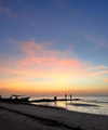 noam_shaham Altpins Profile Picture