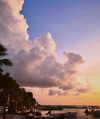 noam_shaham Altpins Profile Picture