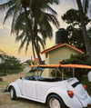 noam_shaham Altpins Profile Picture