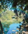 noam_shaham Altpins Profile Picture