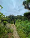noam_shaham Altpins Profile Picture