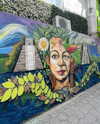 noam_shaham Altpins Profile Picture