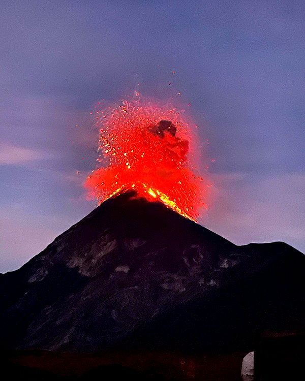 noam_shaham instagram image archive image