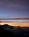 noam_shaham Altpins Profile Picture