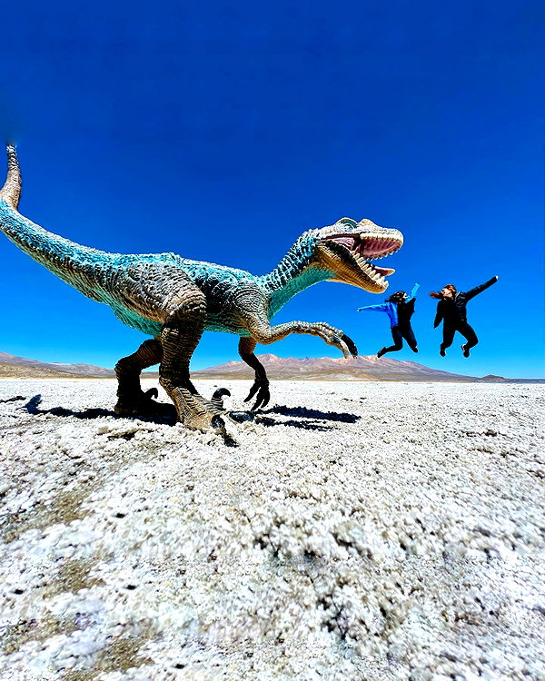 noam_shaham instagram image archive image