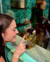 noam_shaham Altpins Profile Picture