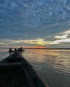 noam_shaham Altpins Profile Picture