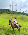 noam_shaham Altpins Profile Picture
