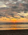 noam_shaham Altpins Profile Picture