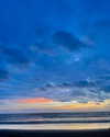 noam_shaham Altpins Profile Picture