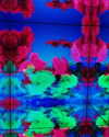 noam_shaham Altpins Profile Picture