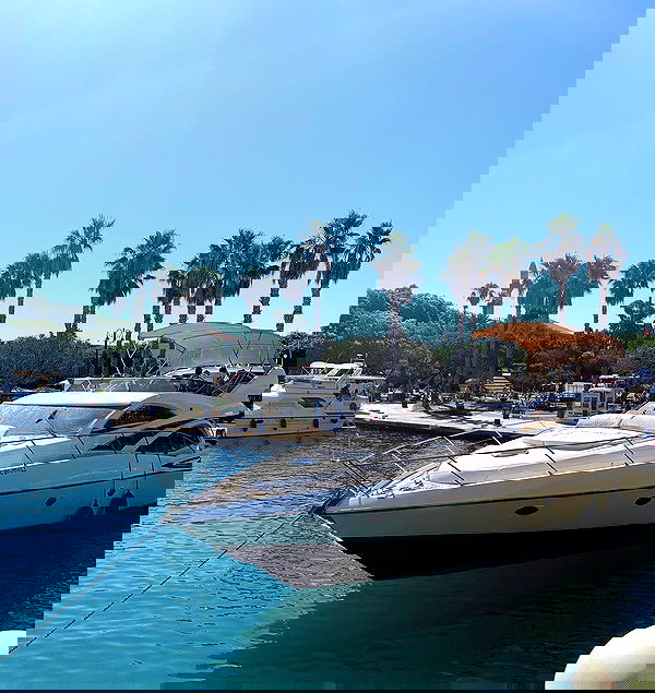 noammalka___ noammalka___ archive image