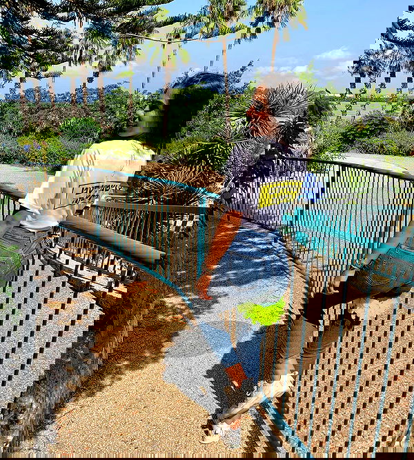 noammalka___ noammalka___ archive image