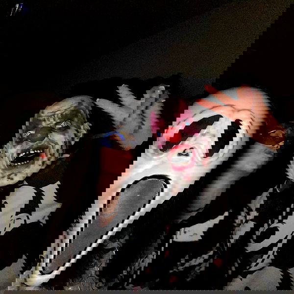 noammalka___ noammalka___ archive image