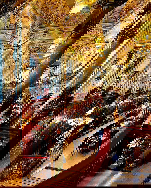 noammalka___ noammalka___ archive image