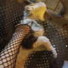 noiemacklin Altpins Profile Picture