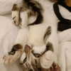 noiemacklin Altpins Profile Picture